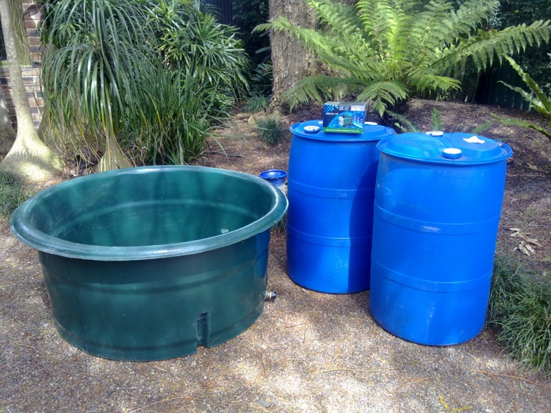 25092010029 [1600x1200].jpg