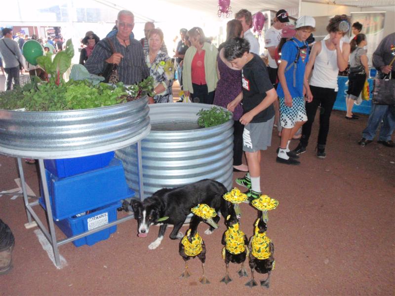 P9250283 (Medium).JPG