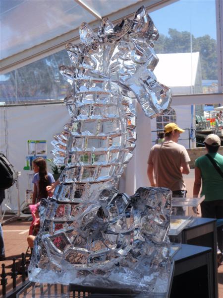 P9250277 (Medium).JPG