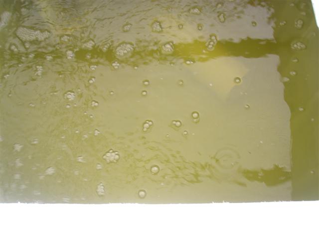 Green Water (Small).JPG