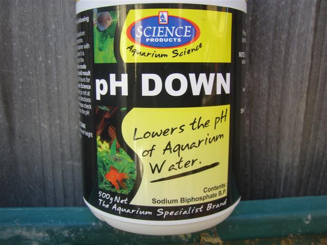 PH Down (Small).JPG