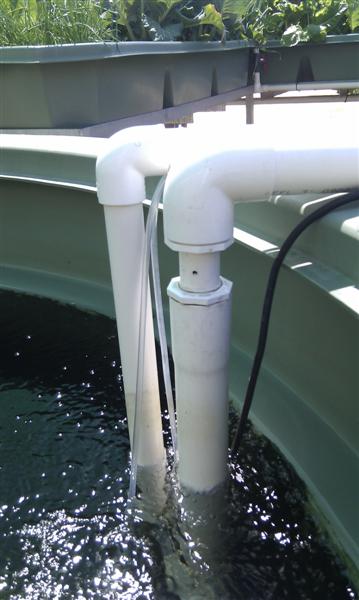 IMAG0028 (Medium).jpg