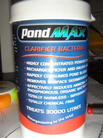 clarifier bacteria (Small).JPG