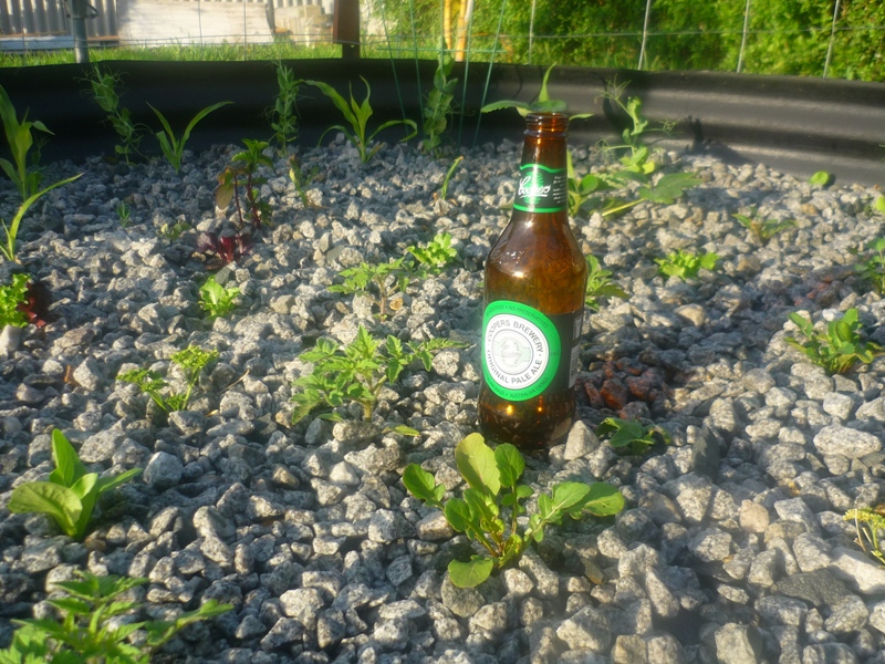 AP Venturi airator 011.jpg