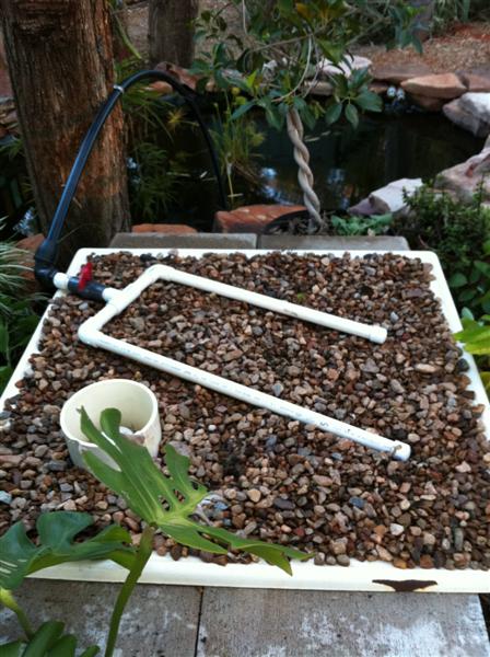 Newest system 011 (Medium).jpg