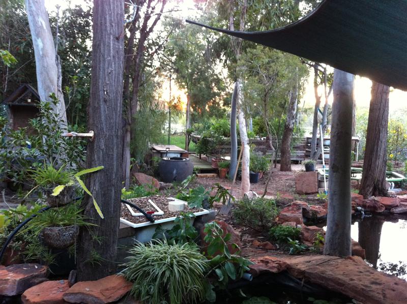 Newest system  018 (Medium).jpg