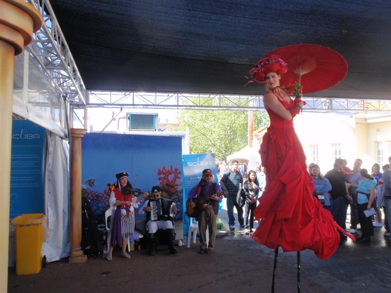 P9270285 (Medium).JPG