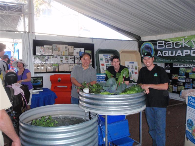 P9270286 (Medium).JPG