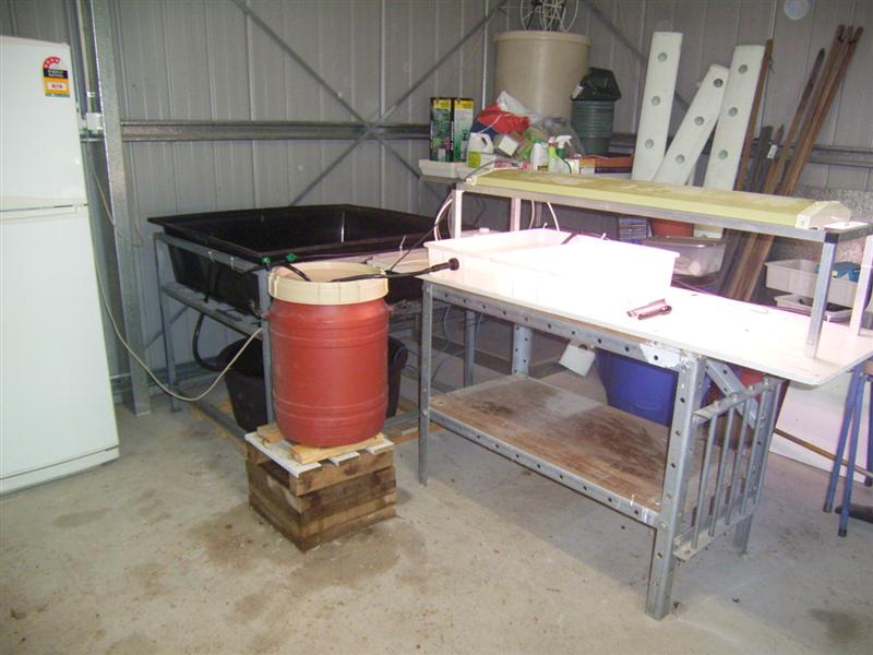 Aquaponics 1- 30 Jul 06 (Medium).jpg