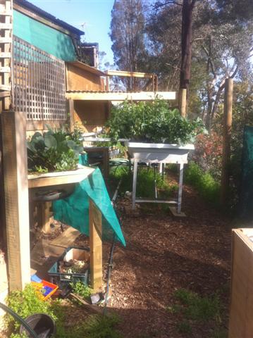 Overview (Small).jpg