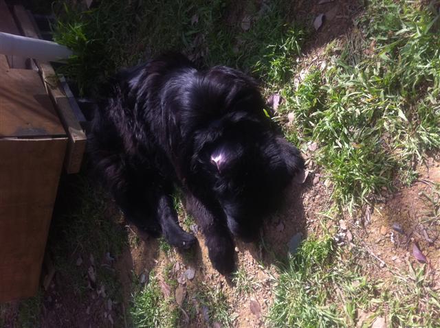 Site Supervisor (Small).jpg