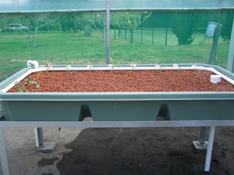 100_5312 (Custom).JPG