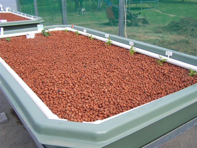 100_5316 (Custom).JPG