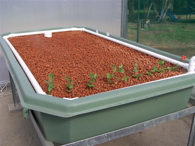 100_5324 (Custom).JPG