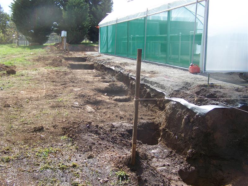 100_5334 (Custom).JPG