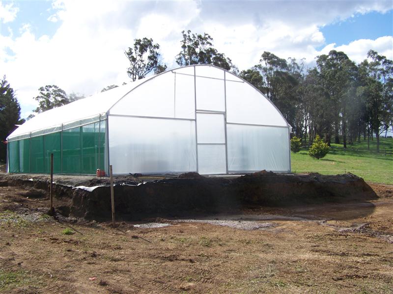 100_5335 (Custom).JPG