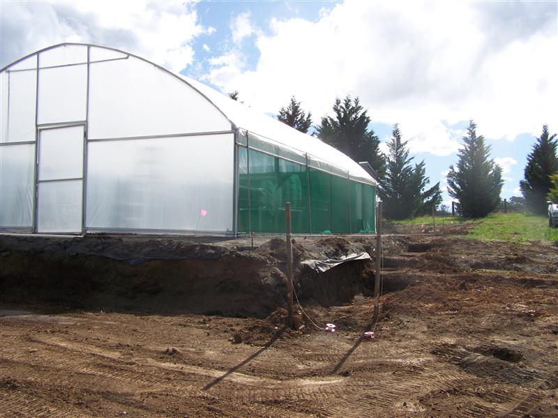 100_5336 (Custom).JPG