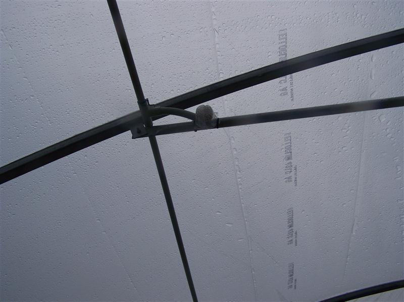 100_5348 (Custom).JPG