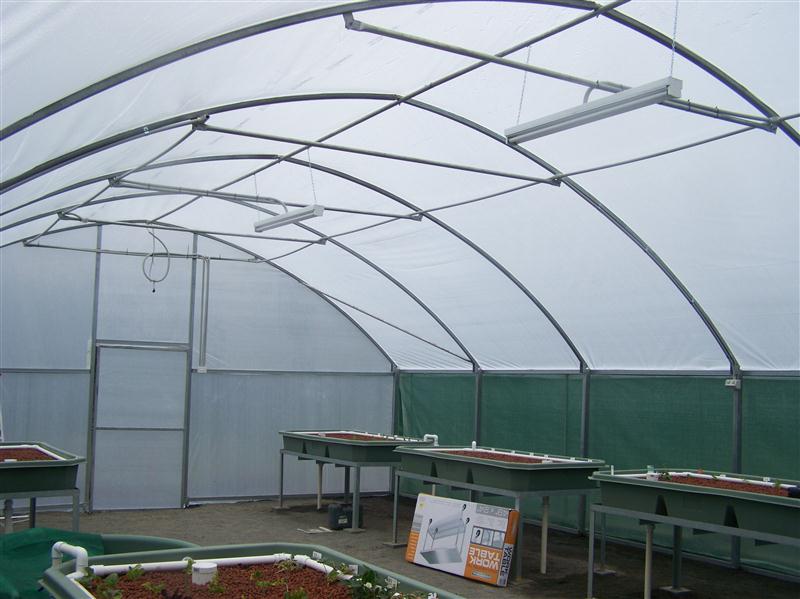 100_5350 (Custom).JPG