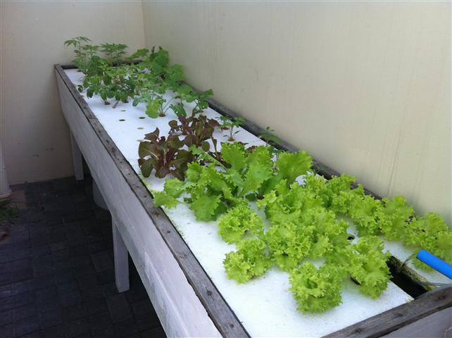 IMG_0010 (Small).JPG