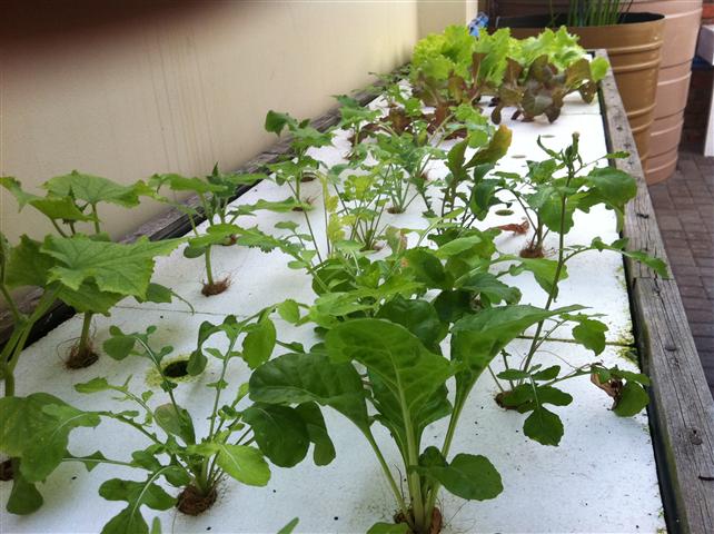 IMG_0014 (Small).JPG