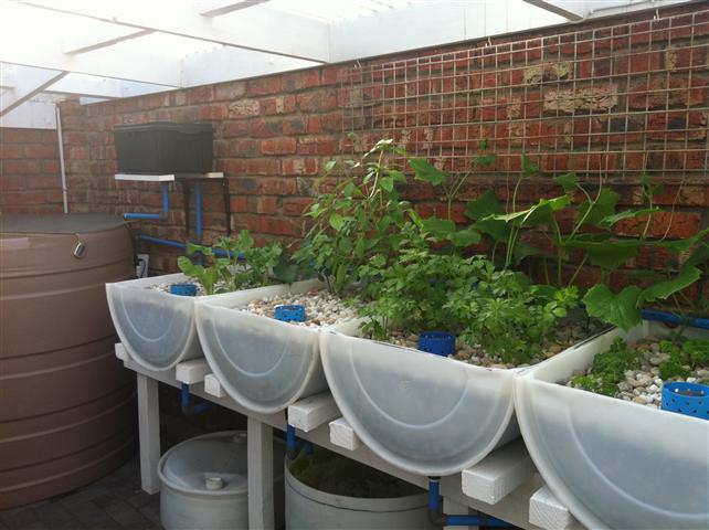 IMG_0017 (Small).JPG