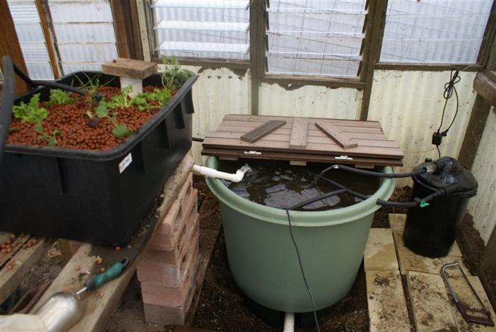 001 (Medium) (Small).JPG