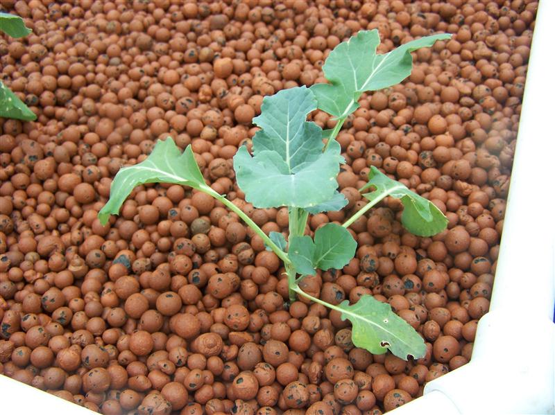 100_5359 (Custom).JPG