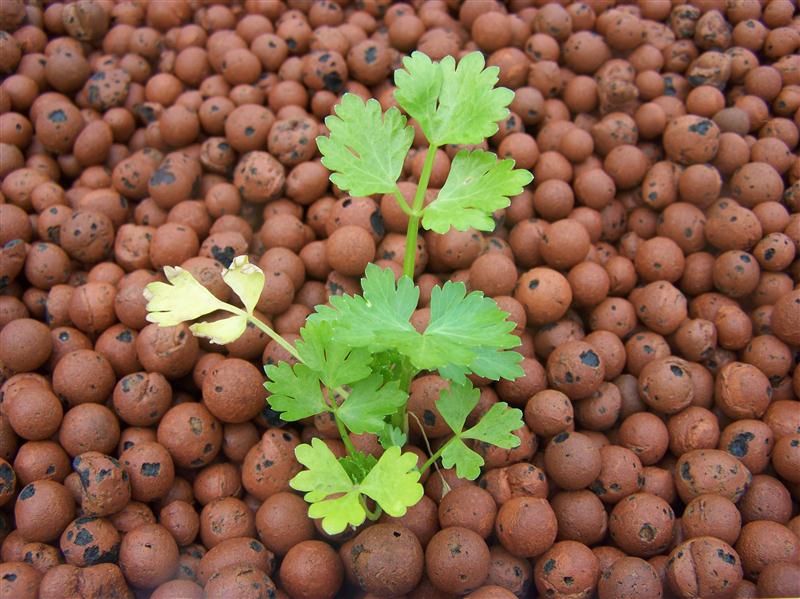 100_5361 (Custom).JPG