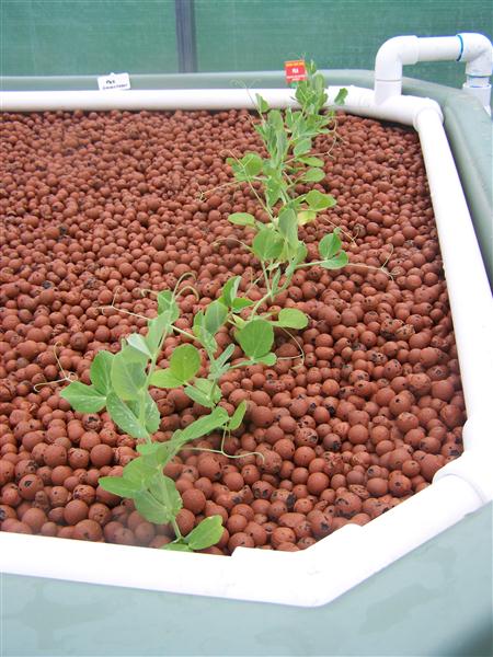 100_5364 (Custom).JPG