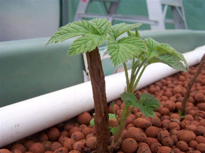 100_5367 (Custom).JPG