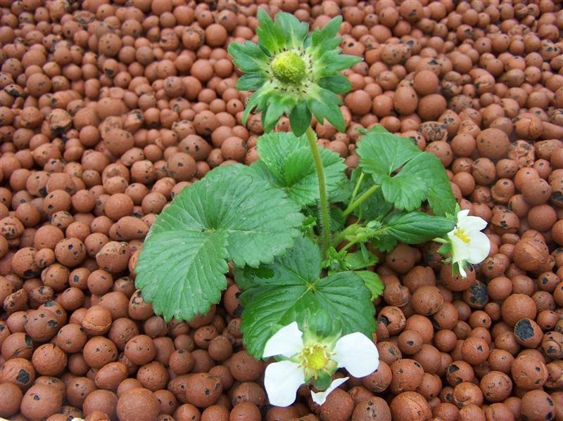 100_5362 (Custom).JPG