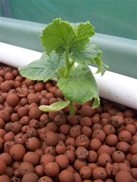 100_5366 (Custom).JPG