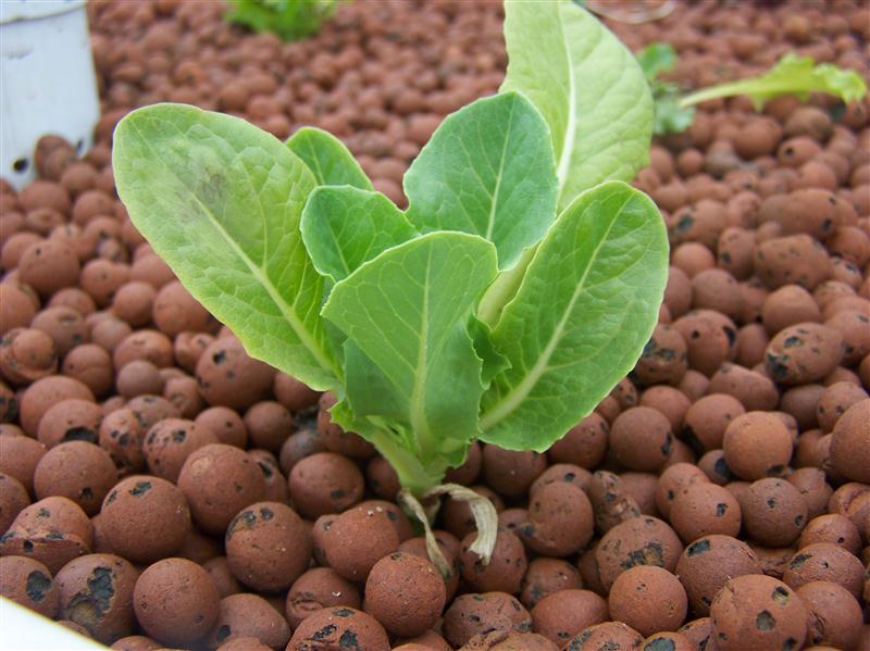 100_5370 (Custom).JPG