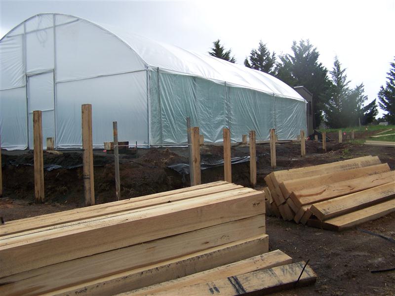 100_5375 (Custom).JPG