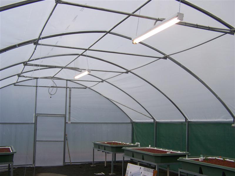 100_5394 (Custom).JPG