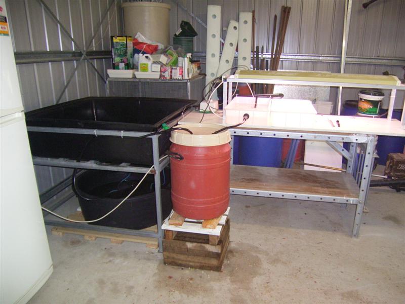 Aquaponics 2 - 30 Jul 06 (Medium).jpg