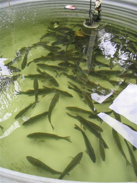 IMG_1644 (Medium).jpg