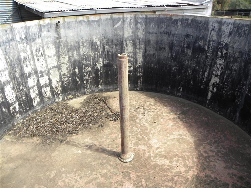 Aquaponics Stuff 009 (Medium).jpg