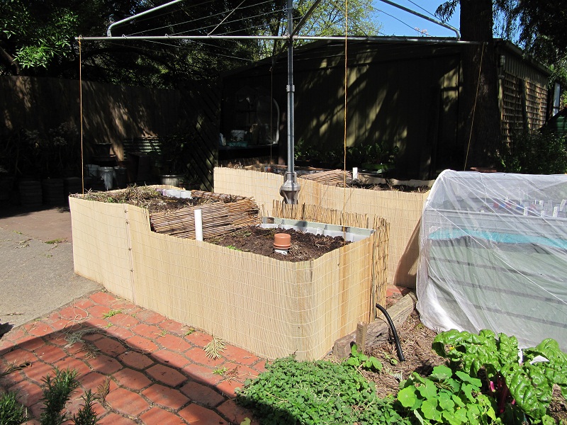 wicking beds ready Oct 10.jpg