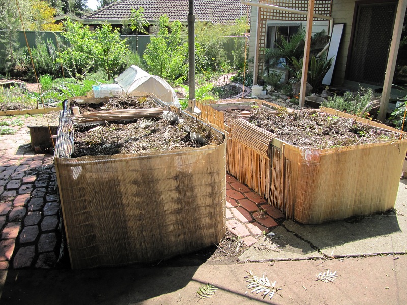 wicking beds clad Oct 10.jpg