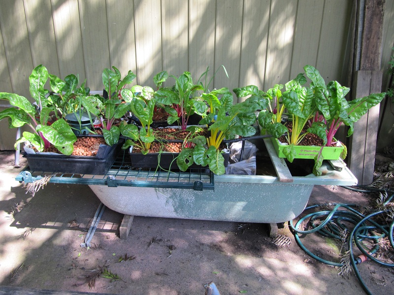 small system update Oct 10.jpg