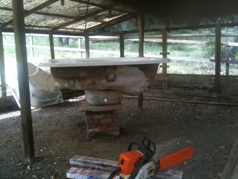 Fishtank on plinth 1.jpg