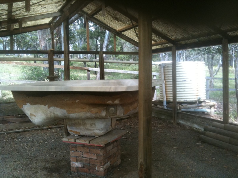 Fishtank on plinth.jpg