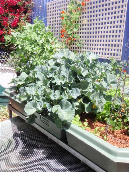 PA110318 (Medium).JPG