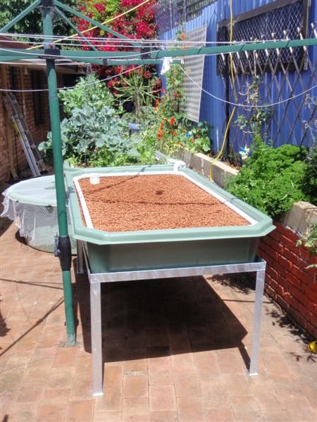 PA110316 (Medium).JPG