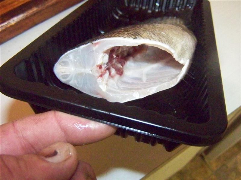 100_5421 (Custom).JPG