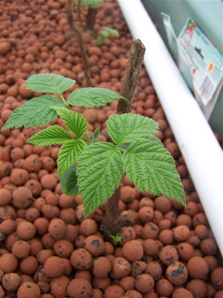 100_5368 (Custom).JPG