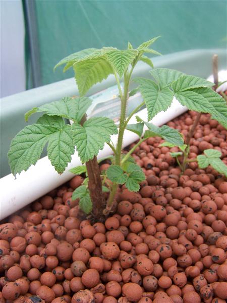 100_5449 (Custom).JPG