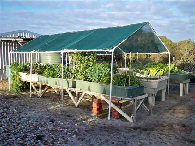 100_0894 (Small).JPG